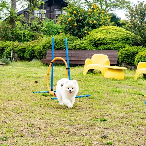 [제주 애월] 제주 자연에서의 힐링(원룸형) #애견동반 가능 #풀옵션 22