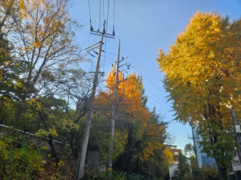 [서울 마포] 핫플합정홍대올리모델링2룸(채광좋고햇볕좋은1층같은살짝반지층) 68