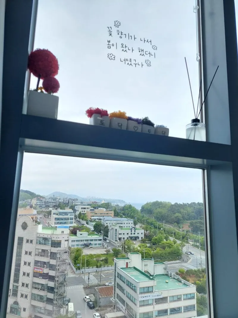 [강원 동해] 1220호  라텍스 퀸베드 묵호항뷰 12