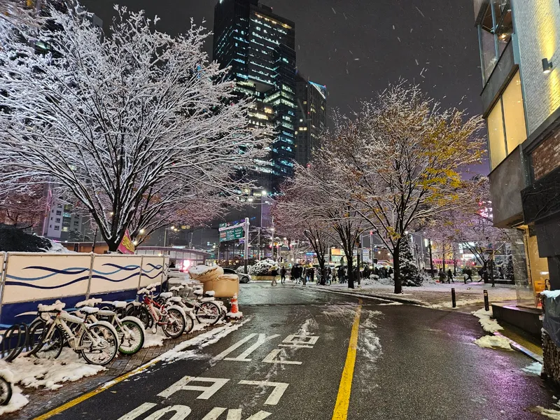 [서울 마포] 핫플합정홍대올리모델링2룸(채광좋고햇볕좋은1층같은살짝반지층) 101