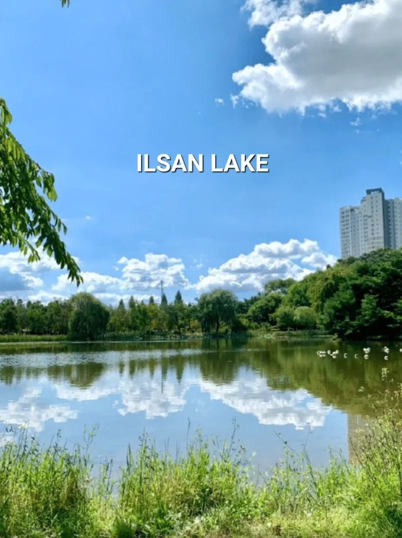 [Goyang] Sky View 1. Ilsan downtown camping space officetel duplex free parking 27