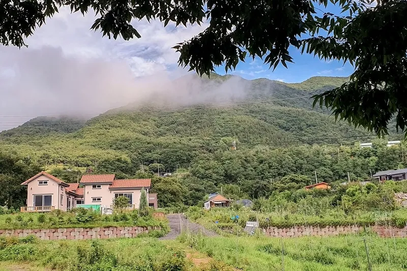[충남 보령] 충남 보령  물빛정  산과 저수지가 보이는 1400평의 치유농장 보령 12