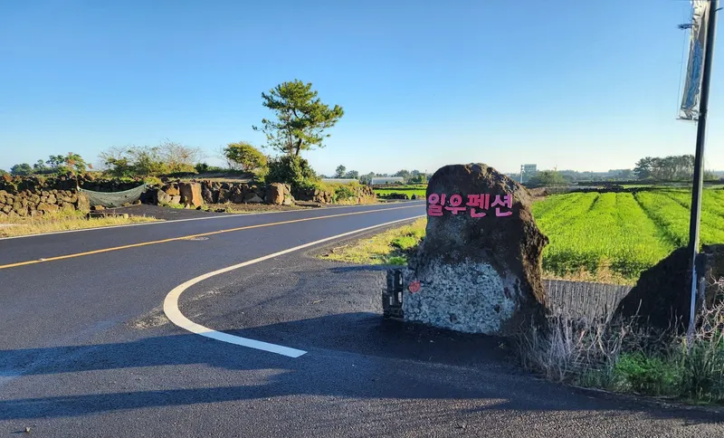 [제주 구좌] 제주돌담밭 정원 분리형원룸독채 18평 B 5