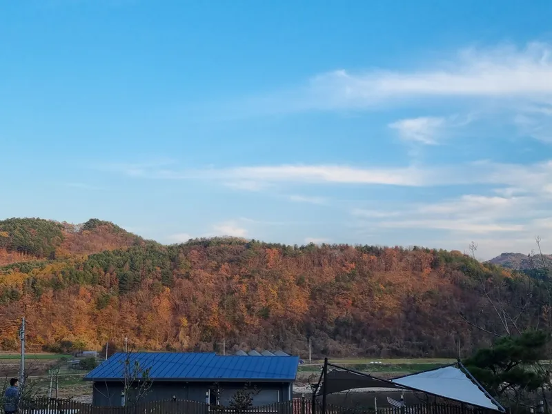 [Chuncheon][Chuncheon, Gangwon-do] A small house with a yard along the Hongcheon River 24