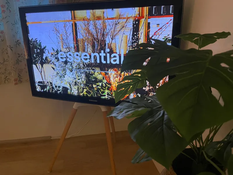 [Gwanak, Seoul] 10 minutes on foot from Naksungdae Station Line 2, free parking for 1 car, 1st floor of a detached house 9