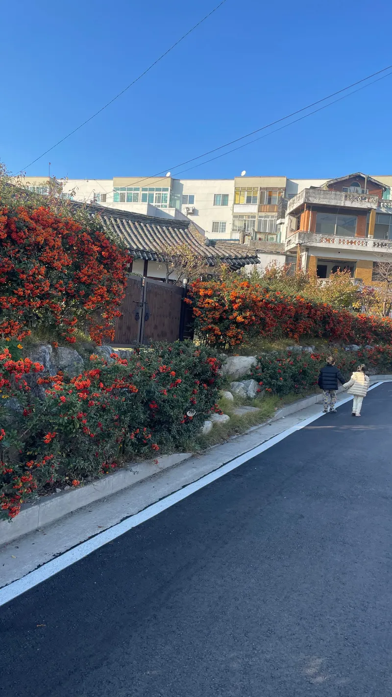 [Gangneung] 3-room Hanok detached house with a 100-pyeong wide yard 97