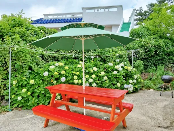 [Seongsan, Seogwipo] Seongsan Sunrise Peak, free tangerine experience accommodation, barbecue family pension 6