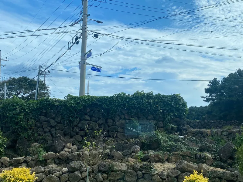 [제주 구좌] B오후동_ 돌담 밭담 고즈넉한 마을뷰/독채/조식 17