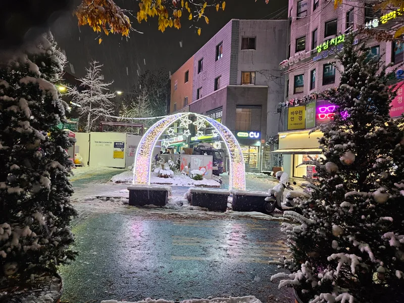 [서울 마포] 핫플합정홍대올리모델링2룸(채광좋고햇볕좋은1층같은살짝반지층) 97