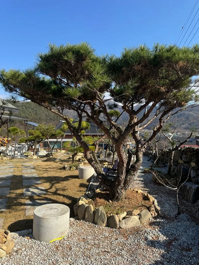 [전북 진안] 진안고원 테라스,편백나무 마루 독채 전원주택,넓은 거실 24