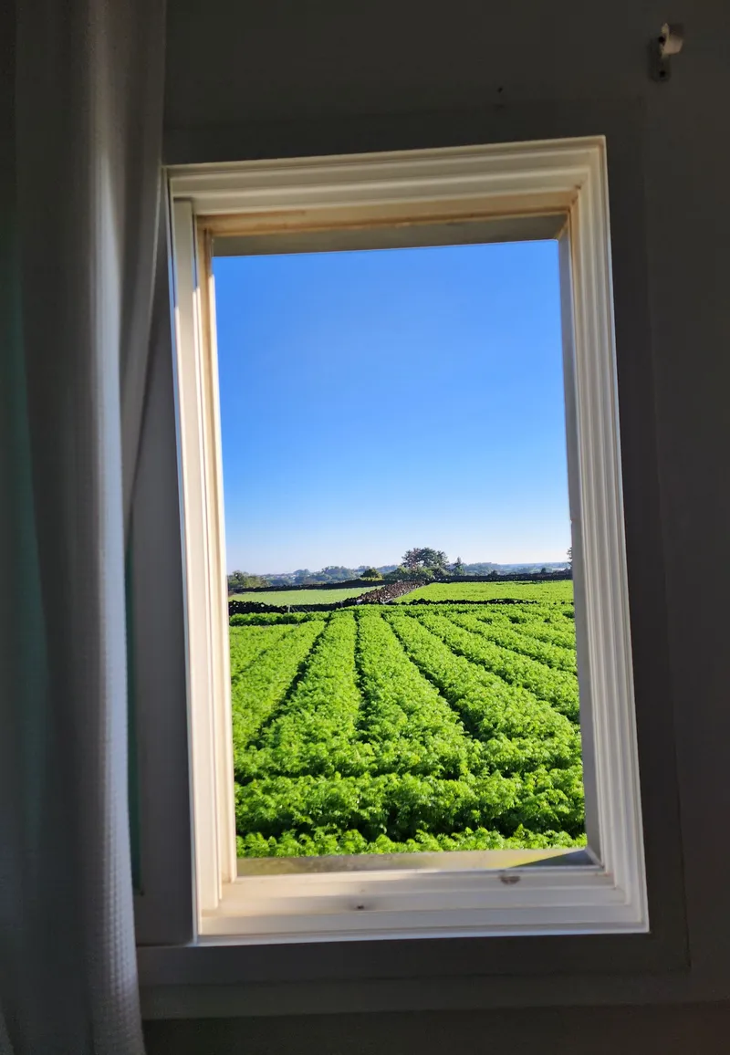 [Gujwa, Jeju] Jeju Doldambat Garden One-room House 8 Pyeong C 12