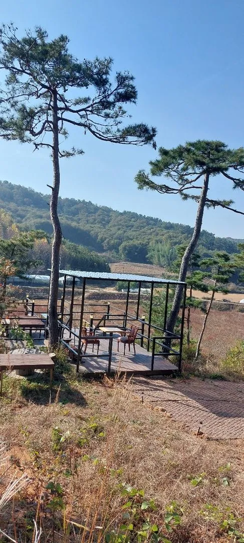 [Buyeo][Buyeo, South Chungcheong Province] A private space all your own amidst nature! A detached house in the forest 41