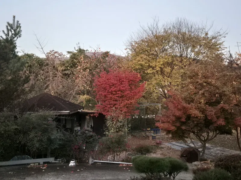 [Wanju] A detached house close to the Hanok Village 15