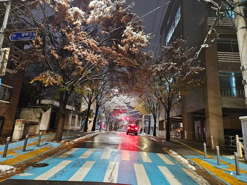 [서울 마포] 핫플합정홍대올리모델링2룸(채광좋고햇볕좋은1층같은살짝반지층) 106