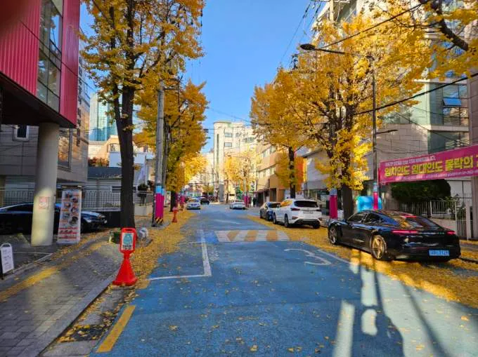 [서울 마포] 핫플합정홍대올리모델링2룸(채광좋고햇볕좋은1층같은살짝반지층) 58