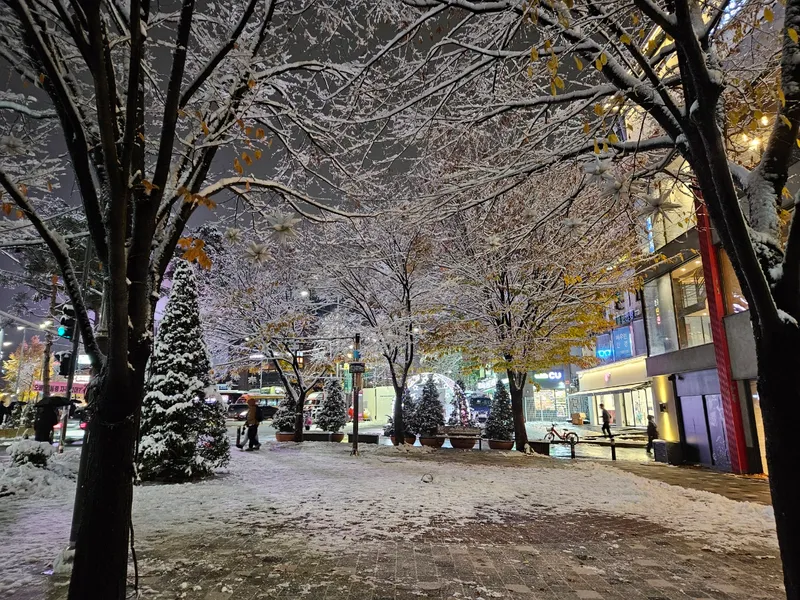 [서울 마포] 핫플합정홍대올리모델링2룸(채광좋고햇볕좋은1층같은살짝반지층) 99