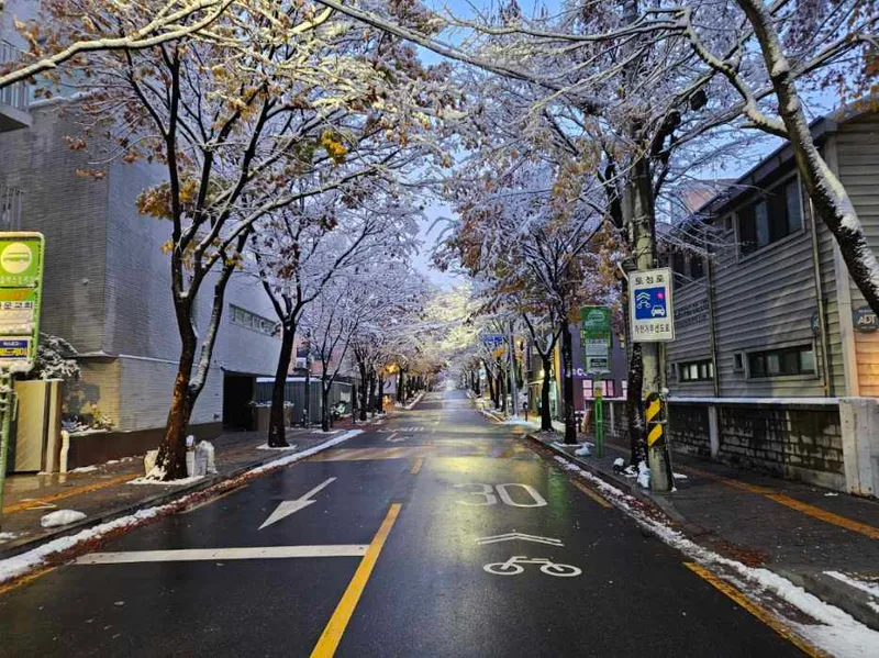 [서울 마포] 핫플합정홍대올리모델링2룸(채광좋고햇볕좋은1층같은살짝반지층) 56