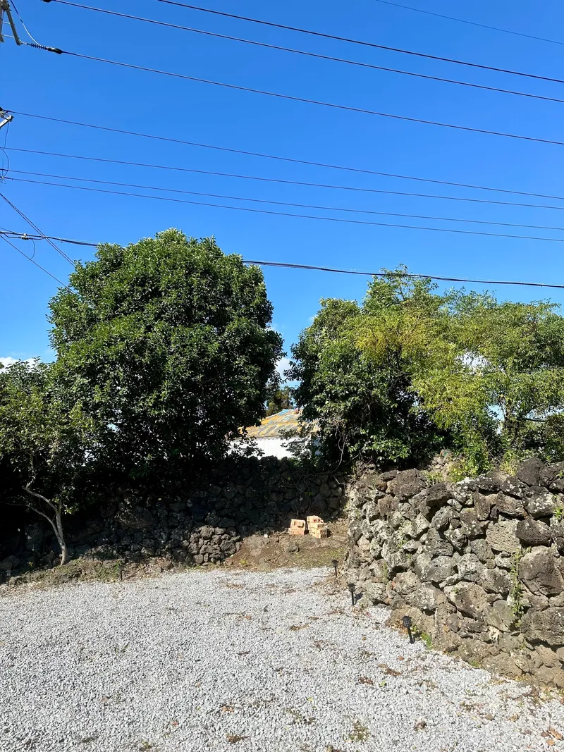 [Daejeong, Seogwipo] #Yard #PetFriendly Quiet detached house surrounded by stone walls 25