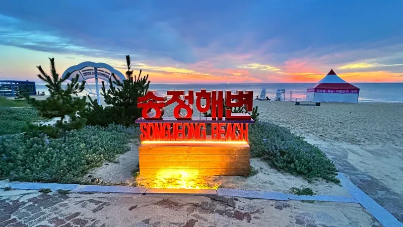 [Gangneung] A comma in the daily life of Chodang, #Walker #Sea #1.5Room 40