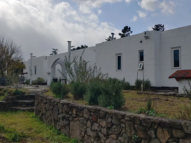 [Hangyeong, Jeju] A cozy house located in the mountains of 4,200 pyeong 29