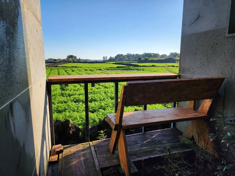 [Gujwa, Jeju] Jeju Doldambat Garden One-room House 8 Pyeong C 6