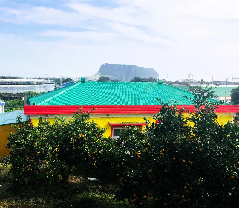 [Seongsan, Seogwipo] Seongsan Sunrise Peak, free tangerine experience accommodation, barbecue family pension 3
