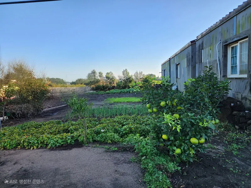 [Gujwa, Jeju] Jeju Doldambat Garden One-room House 8 Pyeong C 7