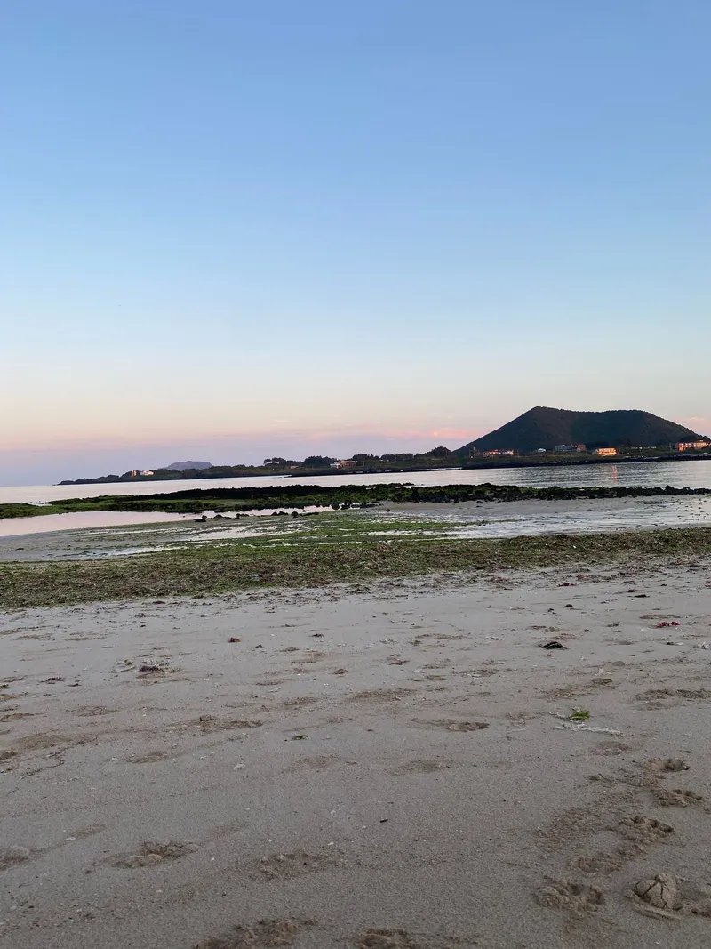 [Gujwa, Jeju] A Slow Dong_Jacuzzi Accommodation_ Stone Wall Field Wall Quiet Village View/Independent House/Breakfast 59