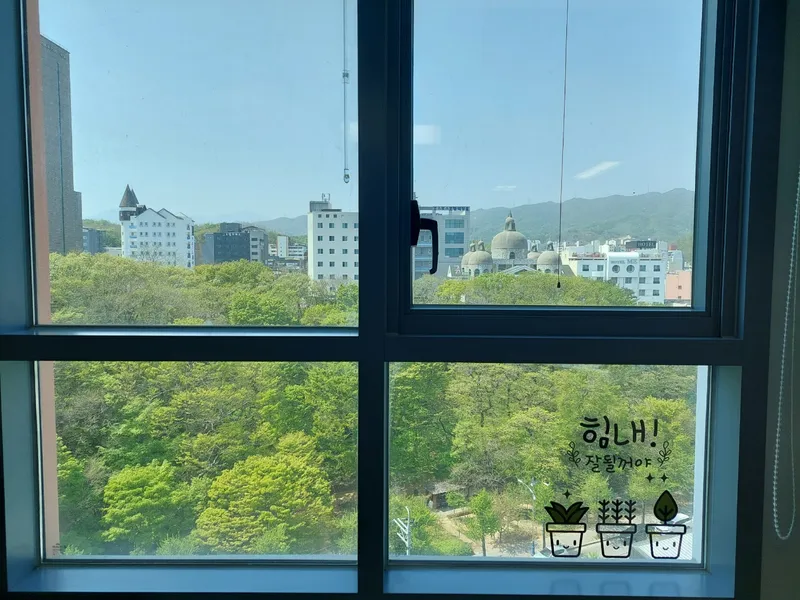 [강원 동해] 916호 라텍스 퀸베드 냉천공원뷰 8