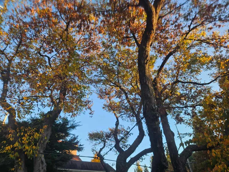[서울 마포] 핫플합정홍대올리모델링2룸(채광좋고햇볕좋은1층같은살짝반지층) 69