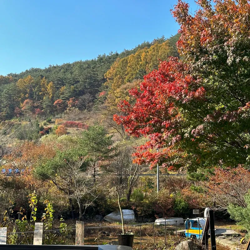 [강원 횡성] 잔디밭 정원이 아름다운 숙소 #윗동 101호 5