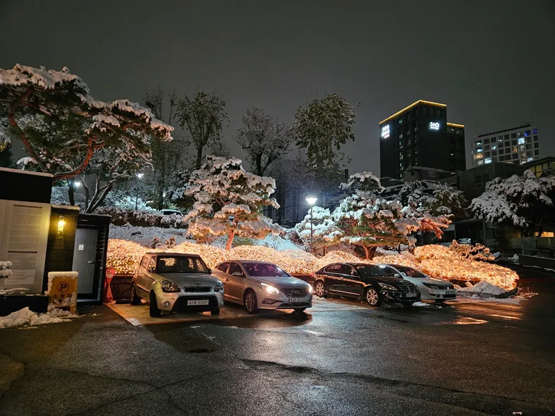 [서울 마포] 핫플합정홍대올리모델링2룸(채광좋고햇볕좋은1층같은살짝반지층) 103
