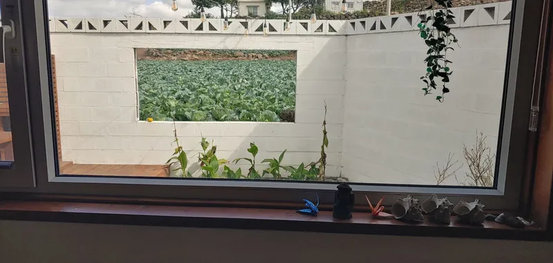 [제주 애월] 먼바다뷰,사람과 자연을 생각하는 자연친화적인 집 23