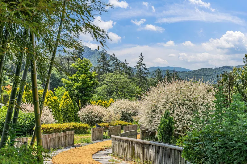 [Gangjin] Namdo Travel Recommendation Arboretum Garden No. 1 #Pets Allowed 16