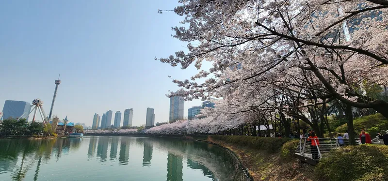 [서울 송파] 잠실 롯데월드, 석촌호수, 석촌고분역3분, 투룸 50