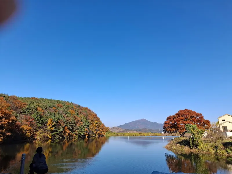 [충남 보령] 충남 보령  물빛정  산과 저수지가 보이는 1400평의 치유농장 보령 17