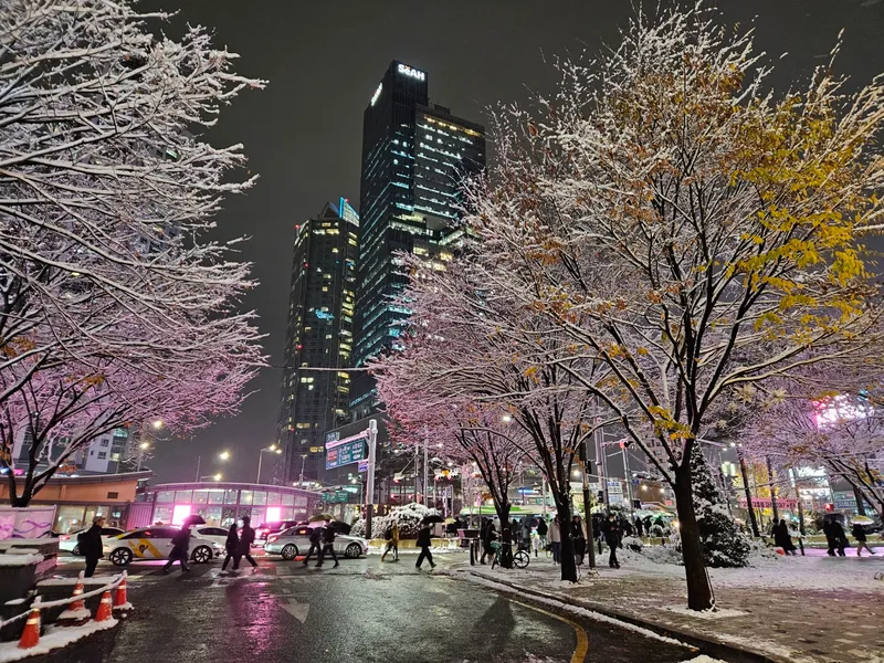 [서울 마포] 핫플합정홍대올리모델링2룸(채광좋고햇볕좋은1층같은살짝반지층) 100