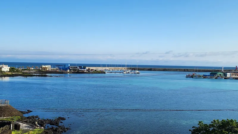 [Gujwa, Jeju] Gimnyeong Ocean View/Seafront Yard/Newly Built 2023/24-Hour Convenience Store/Separate Unit/A202 42