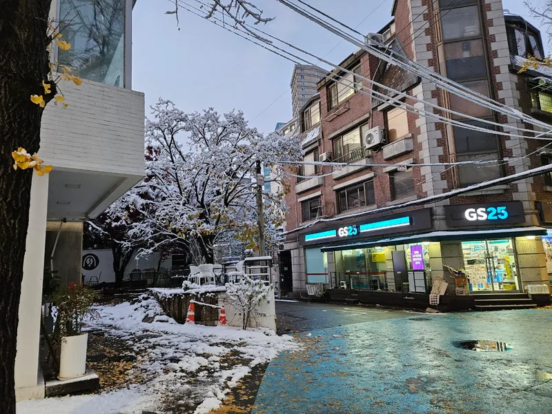 [서울 마포] 핫플합정홍대올리모델링2룸(채광좋고햇볕좋은1층같은살짝반지층) 105