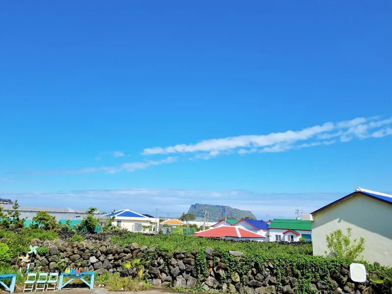 [Seongsan, Seogwipo] Seongsan Sunrise Peak, free tangerine experience accommodation, barbecue family pension 5