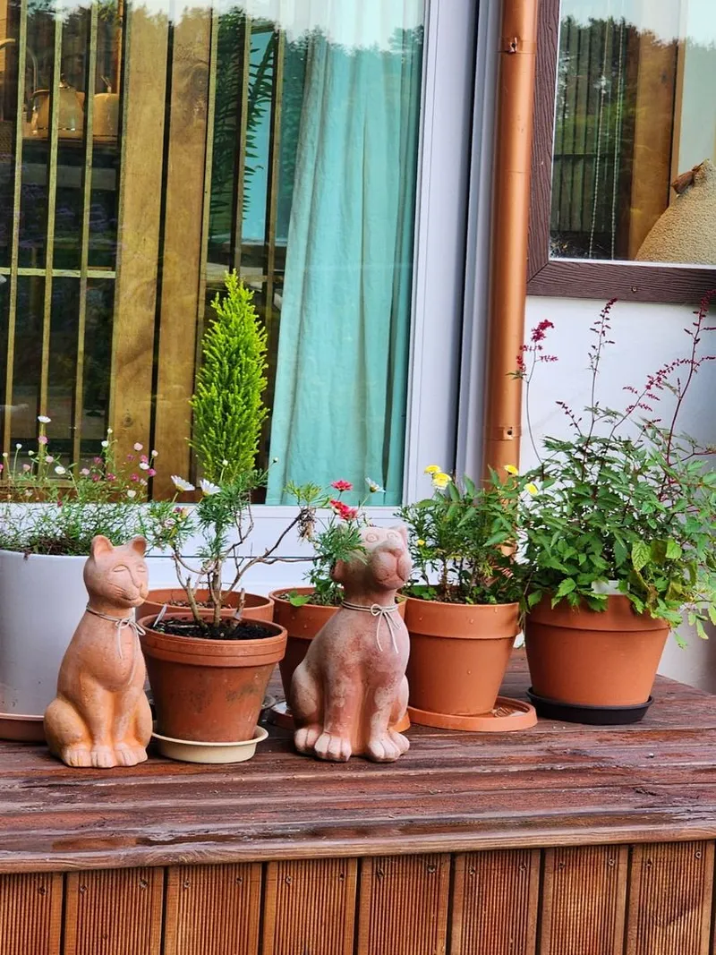 [Goseong] A two-room country house with a sense of sentimentality and a sea view 53