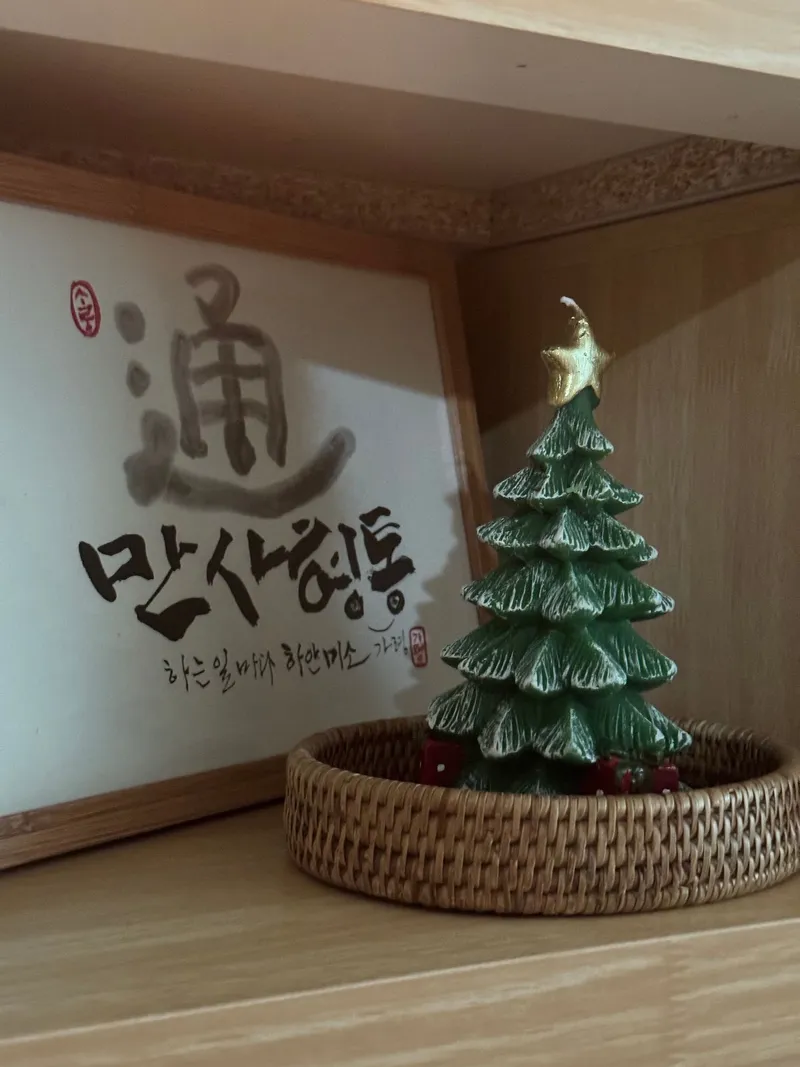 [서귀포 서귀동] 시내권에서 느껴보는 제주살이의 편리함과 멋짐 42