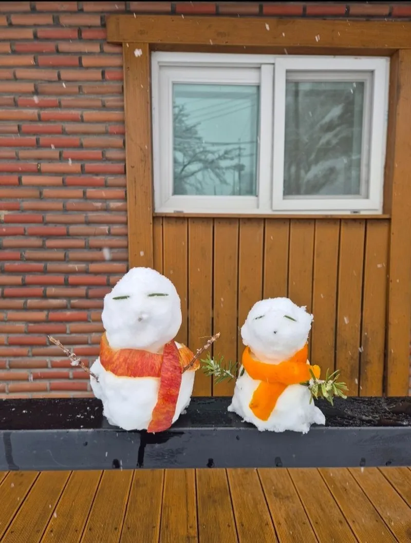 [Yangpyeong] Yangpyeong Sunny’s House Lawn Yard Camping Feeling Independent House 21