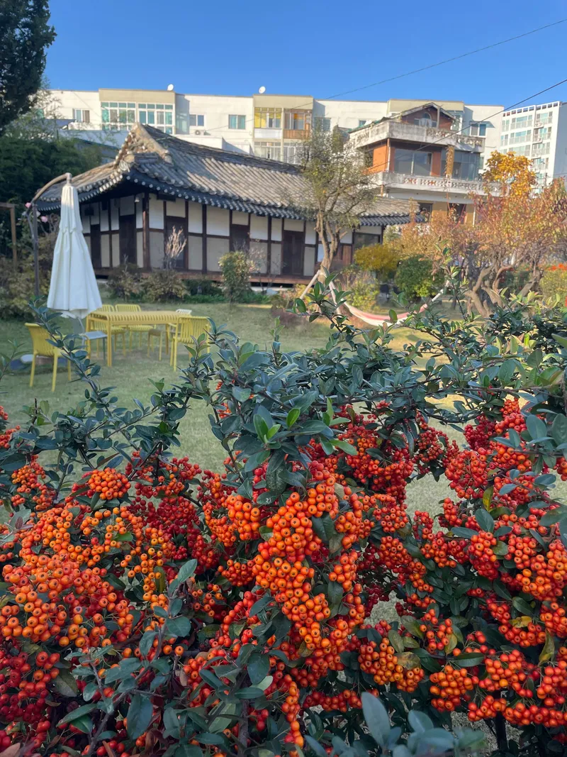 [Gangneung] 3-room Hanok detached house with a 100-pyeong wide yard 98