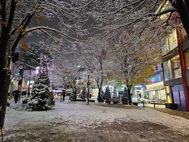 [서울 마포] 핫플합정홍대올리모델링2룸(채광좋고햇볕좋은1층같은살짝반지층) 57