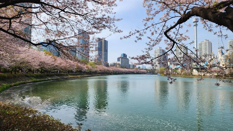 [서울 송파] 잠실 롯데월드, 석촌호수, 석촌고분역3분, 투룸 52