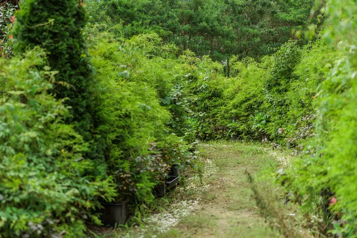 [Gangjin] The best resting space in a 20,000 pyeong garden No. 5 29