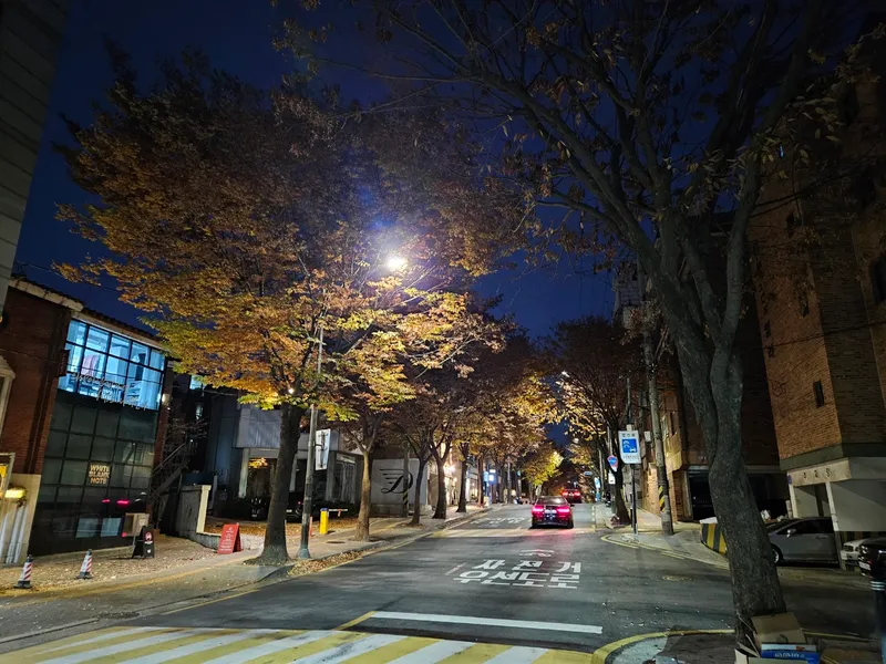 [서울 마포] 핫플합정홍대올리모델링2룸(채광좋고햇볕좋은1층같은살짝반지층) 82