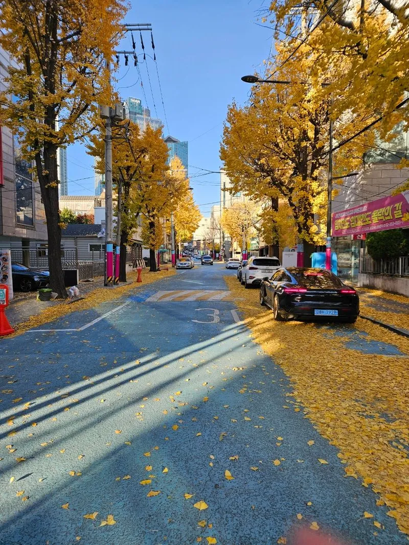 [서울 마포] 핫플합정홍대올리모델링2룸(채광좋고햇볕좋은1층같은살짝반지층) 63