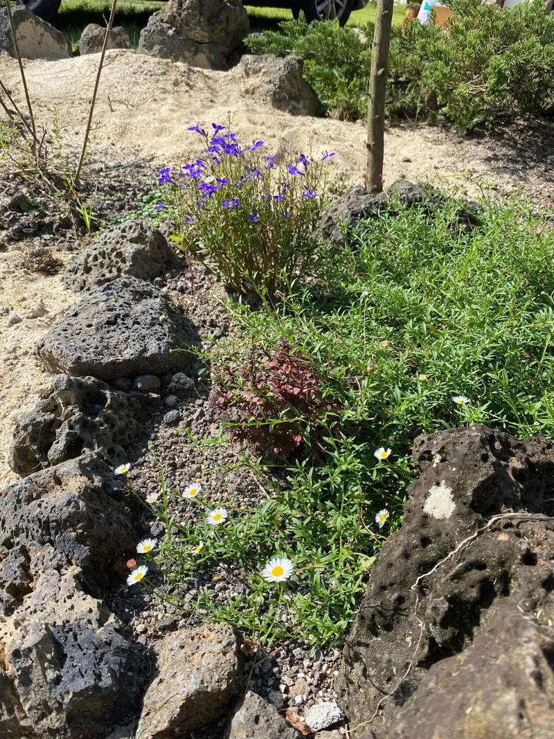 [Gujwa, Jeju] A Slow Dong_Jacuzzi Accommodation_ Stone Wall Field Wall Quiet Village View/Independent House/Breakfast 66